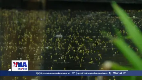 Hà Nội sắp chấm dứt mưa nồm ẩm