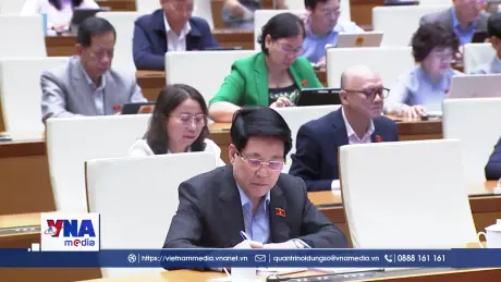 Trạm tin trưa 12/11/2025