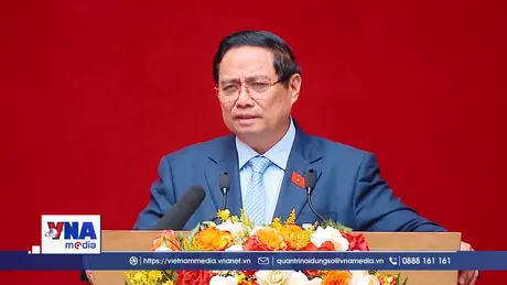 Trạm tin tối ngày 12/11/2025