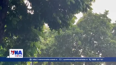 Khả năng xuất hiện không khí lạnh mạnh và mưa lớn diện rộng ở Trung Bộ