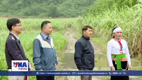 Phát triển toàn diện, bền vững vùng đồng bào dân tộc thiểu số và miền núi