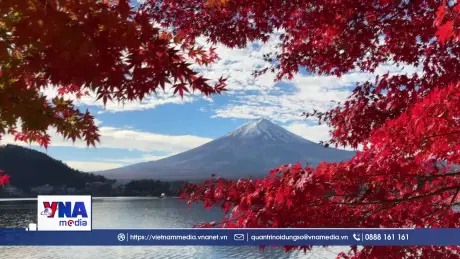 Sắc Thu trong Lễ hội Momiji bên hồ Kawaguchi