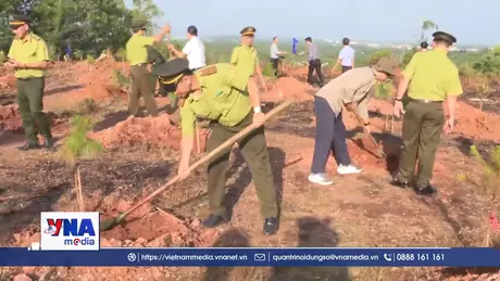 Đà Nẵng trồng 56,6 triệu cây xanh