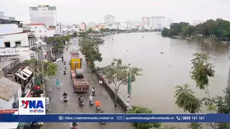 Trạm tin sáng ngày 14/11/2025