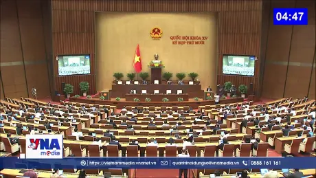 Trạm tin trưa ngày 14/11/2025