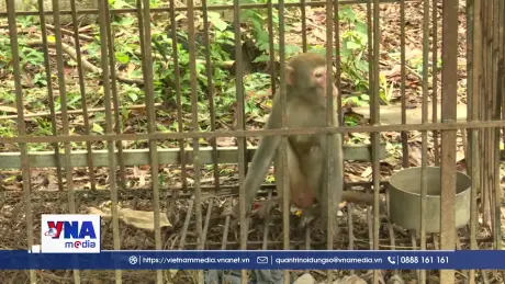 Bảo tồn, cứu hộ động vật hoang dã tại Vườn quốc gia Bến En