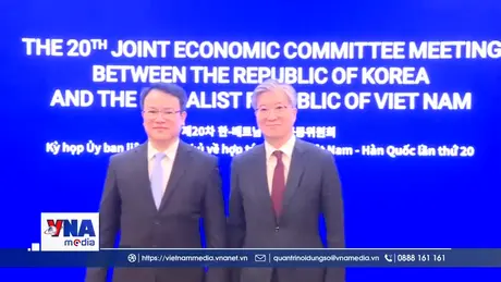 Việt Nam - Hàn Quốc tìm kiếm giải pháp thúc đẩy hợp tác toàn diện