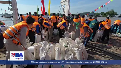 Thả hơn 200.000 con cá giống tái tạo nguồn lợi thuỷ sản