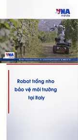 Robot trồng nho bảo vệ môi trường tại Italy