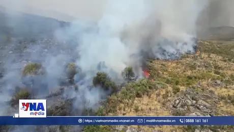 Nông nghiệp toàn cầu thiệt hại lớn do thiên tai