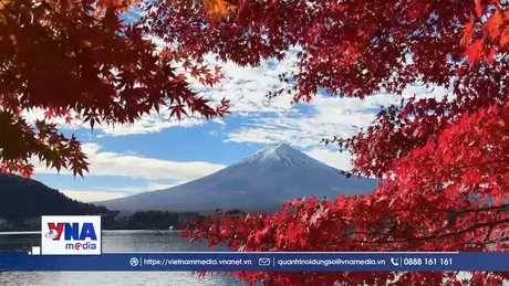 “Giao hưởng” sắc màu ở núi Phú Sĩ