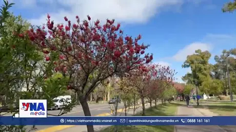 Biểu tượng mùa Xuân tại Buenos Aires, Argentina