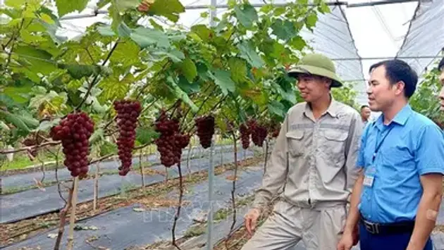 Quảng Ninh đột phá Chuyển đổi số xây dựng Nông thôn kiểu mẫu