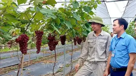 Quảng Ninh đột phá Chuyển đổi số xây dựng Nông thôn kiểu mẫu