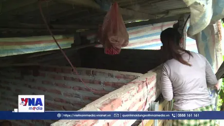 Lào Cai chủ động ứng phó với rét đậm, rét hại cho cây trồng, vật nuôi