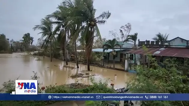 Mưa lớn làm nhiều khu vực phía Đông Gia Lai bị ngập cục bộ