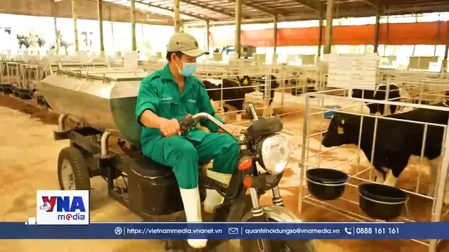 Bàn giải pháp tăng giá trị sản xuất nông nghiệp đô thị TP. Hồ Chí Minh