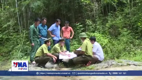 Thanh Hóa tăng cường chi trả dịch vụ môi trường rừng gắn với bảo vệ rừng