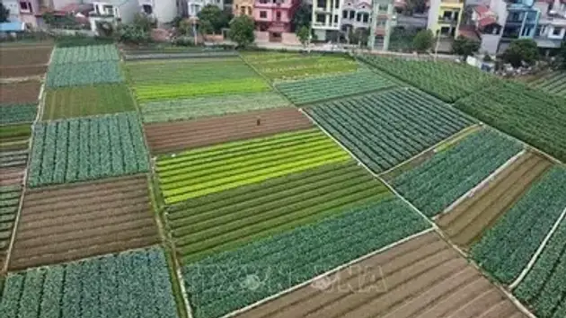 Hà Nội đột phá trong quá trình xây dựng nông thôn mới
