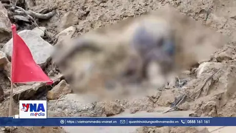 Tìm thấy nạn nhân đầu tiên trong vụ sạt lở núi ở Hùng Sơn, Đà Nẵng