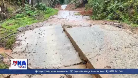 Phát hiện vệt nứt trên núi, Quảng Ngãi di dời khẩn cấp 113 hộ dân