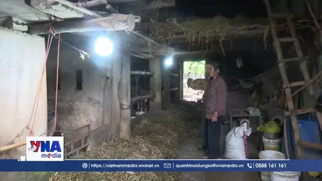 Thanh Hoá: Chủ động phòng, chống đói rét cho đàn gia súc, gia cầm