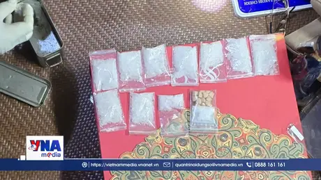 Bắt giữ 2 đối tượng sử dụng, tàng trữ trái phép ma túy, vũ khí