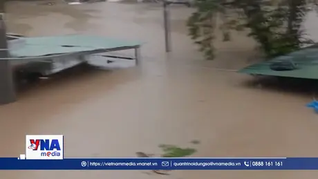 Trạm tin trưa ngày 20/11/2025