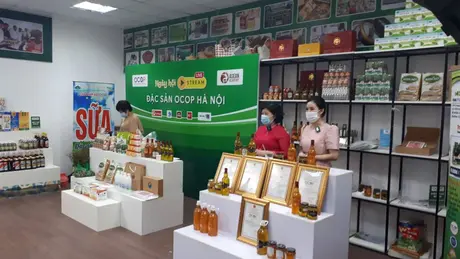 Hà Nội thúc đẩy chuyển đổi số khi xây dựng nông thôn mới