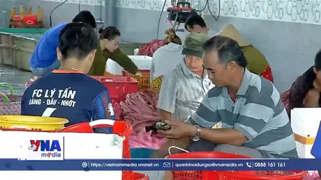 Nâng cao chuỗi giá trị cho ngành cua Cà Mau