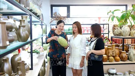 Hà Nội và 6 sản phẩm OCOP 5 sao: Từ lợi thế địa phương đến chuẩn quốc gia