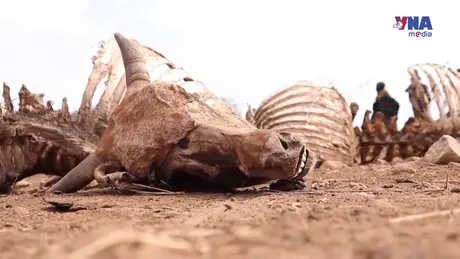 Tiêu điểm quốc tế: Con đường cam go