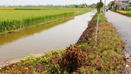 Hà Nội hoàn thành sớm nhiệm vụ xây dựng nông thôn mới từ sức mạnh đoàn kết