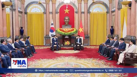 Chủ tịch nước Lương Cường hội kiến Chủ tịch Quốc hội Hàn Quốc