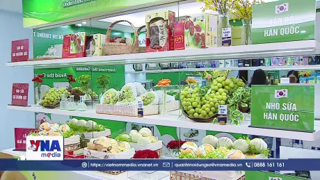 Trưng bày 500 sản phẩm nhận diện hàng thật – hàng giả