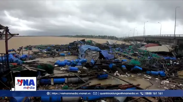 Người dân nuôi tôm hùm quanh vịnh Xuân Đài trắng tay vì lũ