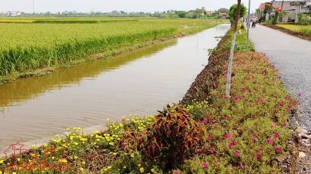 Hà Nội hoàn thành sớm nhiệm vụ xây dựng nông thôn mới từ sức mạnh đoàn kết