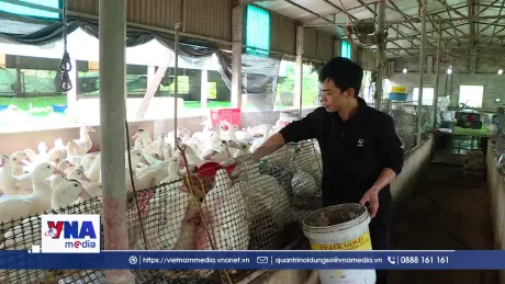 Đi làm thuê để về làm chủ