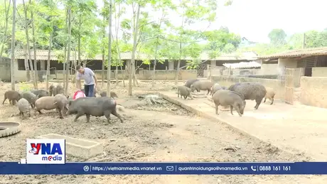 Nông dân Phú Thọ thi đua sản xuất giỏi gắn với xây dựng nông thôn mới