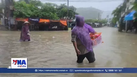 Tăng cường công tác quản lý và sử dụng hàng dự trữ quốc gia