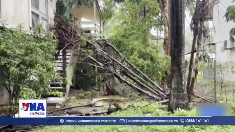 Lãnh thổ Bắc Australia khẩn trương ứng phó với bão Fina