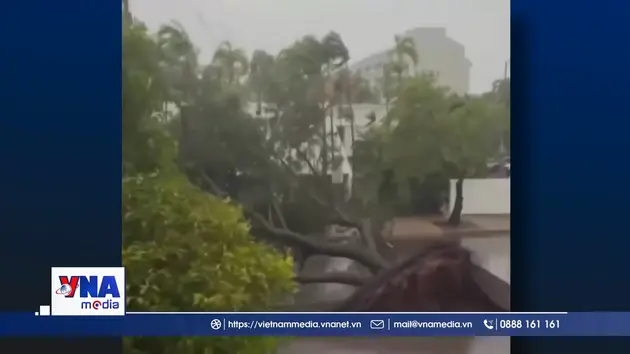 Australia: Khoảng 19.000 người bị mất điện do bão Fina