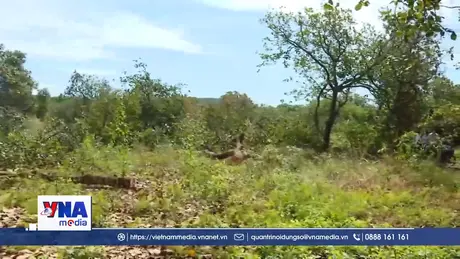 Lan toả tinh thần bàn giao mặt bằng Dự án cao tốc Gia Nghĩa - Chơn Thành