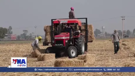 Tái chế phụ phẩm nông nghiệp giảm ô nhiễm