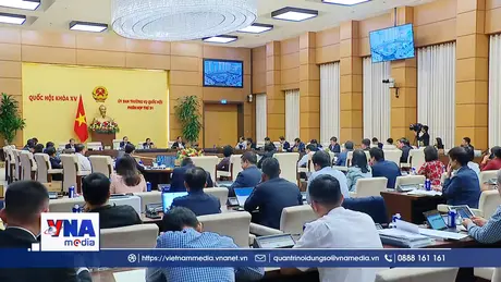 Xây dựng cơ chế, chính sách đặc thù phát triển TP Hồ Chí Minh, Đà Nẵng