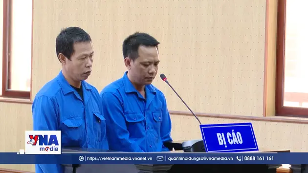 TP. Hồ Chí Minh phạt tù 2 thuyền trưởng tổ chức xuất cảnh trái phép