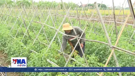 Khẳng định vai trò của khuyến nông trong chính quyền địa phương 2 cấp