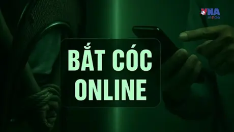 An ninh 365+ ngày 26/11/2025