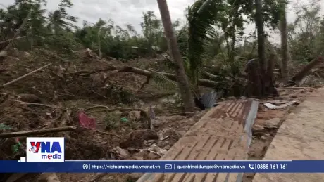 Người chăn nuôi bò Đắk Lắk thiệt hại nặng nề trong mưa lũ