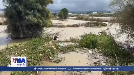 Thủ phủ rau của Lâm Đồng gượng dậy sau trận lũ lịch sử